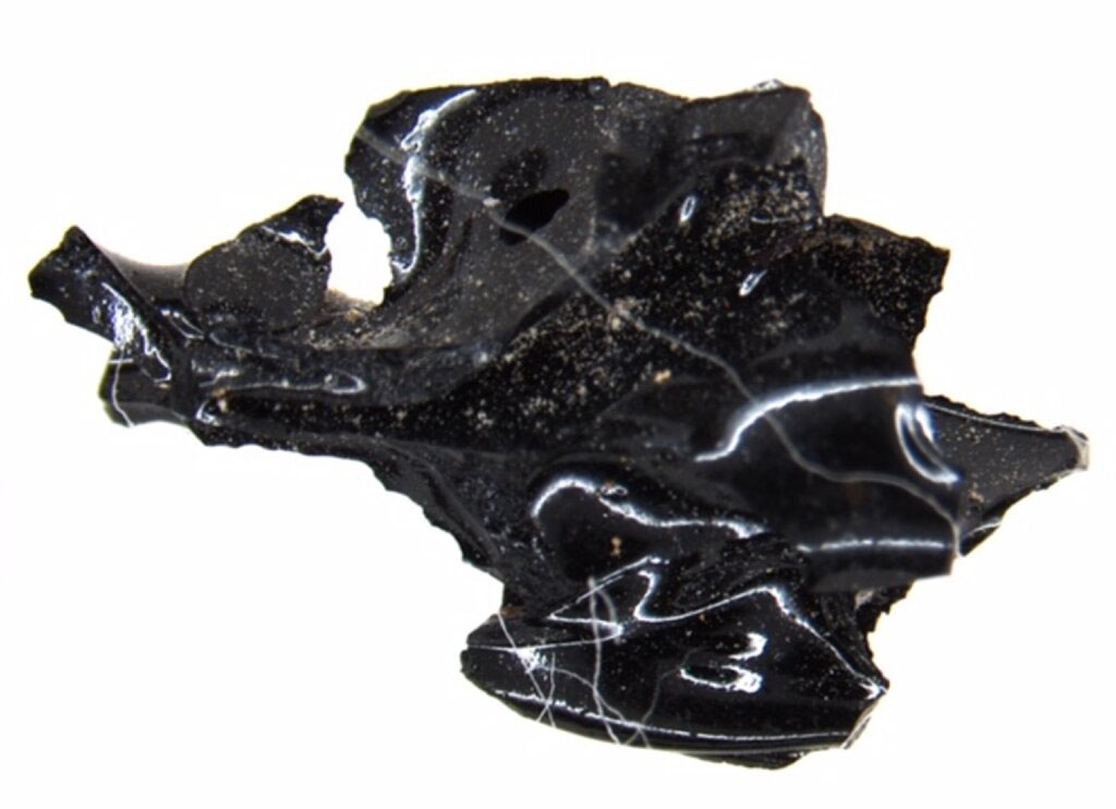 VI.21 Herculaneum. January 2020. Vitrified brain material found in skull of skeleton lying on bed in “caretaker’s room”.
Photograph © Parco Archeologico di Ercolano.
Discoveries of cerebral tissues in human remains are rare archaeologically speaking, according to the report published in the New England Journal of Medicine.
And when they are found, they are most likely to have been "saponified", meaning converted to soap over time.
But the brain of one person who perished in Herculaneum found in the 1960s on a wooden bed under volcanic ash in a building known as the Collegium Augustalium reportedly experienced a different fate.
The researchers say they discovered shards of shiny black material in the victim's skull, which appeared to be the remains of brain tissue converted into glass by heat.
They worked this out by testing the shards and analysing the proteins found within them, confirming them as proteins known to be found in the human brain. The experts also tested what appeared to be the victim's hair, finding fatty acids generally present in human hair.
However, "glassy material was undetectable elsewhere in the skeleton or in the adjacent volcanic ash, and it was not found in other locations at the archaeological site".
Together, these discoveries indicated the thermally induced preservation of "vitrified human brain tissue", the experts said.
According to the report, archaeologists also analysed charred wood at the site, which revealed temperatures reached a maximum of 520 degrees Celsius in the building the person was found in.
"This suggests that extreme radiant heat was able to ignite body fat and vaporise soft tissues; a rapid drop in temperature followed," the report reads.
One of its co-authors, Pierpaolo Petrone, a forensic anthropologist at the University of Naples Federico II, told The Guardian that vitrified remains of the brain had never been found before.
He told the publication of his discovery: "I noticed something shining inside the head."
"This material was preserved exclusively in the victim's skull, thus it had to be the vitrified remains of the brain. But it had to be proved beyond any reasonable doubt."
See Mount Vesuvius eruption so hot it 'turned victim's brain to glass', archaeologists say on MSN